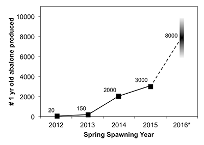 spawning by year