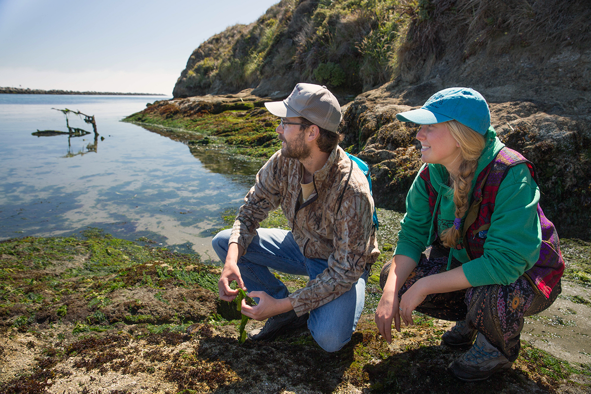 Two people wearing hats and outdoor gear, crouched on the edge of the water line on a rocky coast and looking out towards the water.