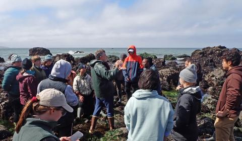 A group of students gathered on a rocky outcrop next to the ocean, watching as their professor teaches.