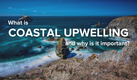 What is Coastal Upwelling and Why is it Important?