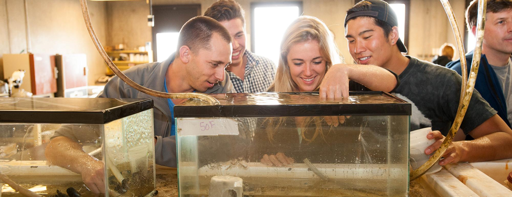 Students gathered around a tank full of marine creatures. One student is dipping their hand into the water in the tank.