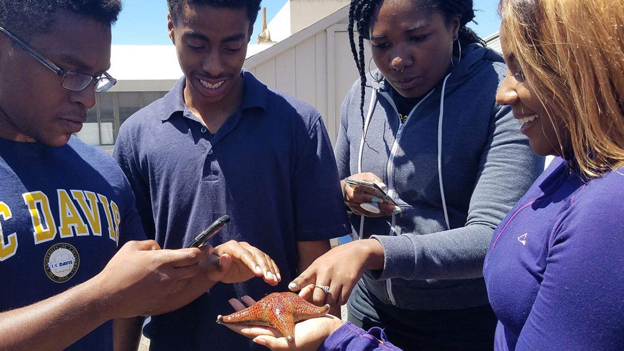 You had me at "hello": Marlynn Rollins (right) introduced HBCU peers to a bat star during a 2018 visit. Marlynn (Howard University, Class of 2019) will join UC Davis' Graduate Group in Ecology, the Gaylord lab, and Sustainable Oceans NRT in Fall 2019.