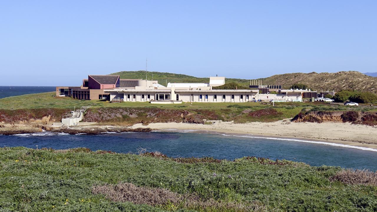 View of Bodega Marine Laboratory with green grass visible in the foreground and the cove in front of the lab building, which is predominantly white with blue skies behind.
