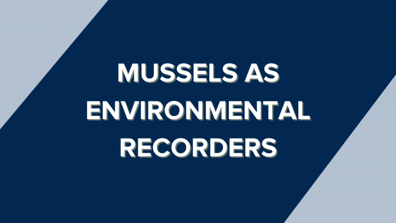 Mussels as environmental recorders