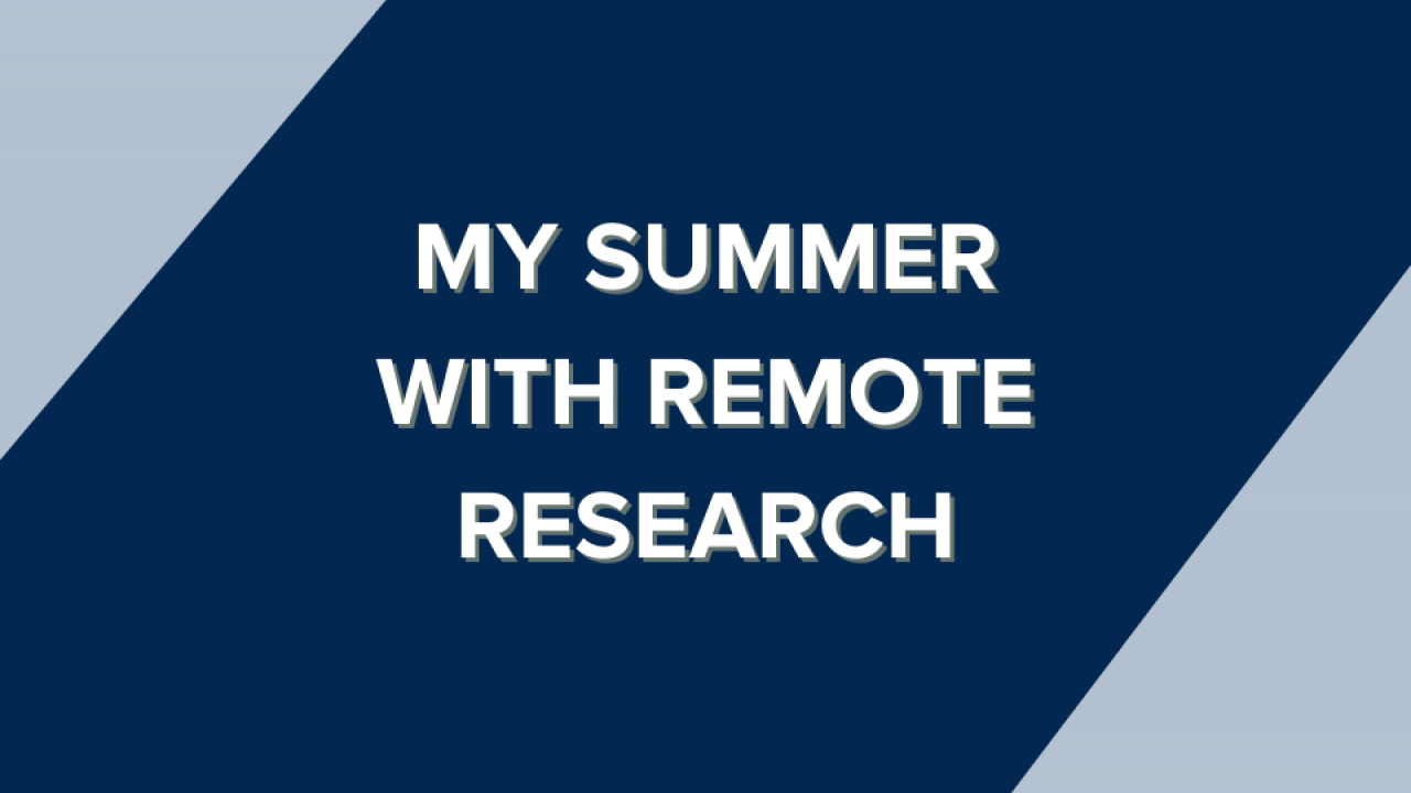 My summer with remote research