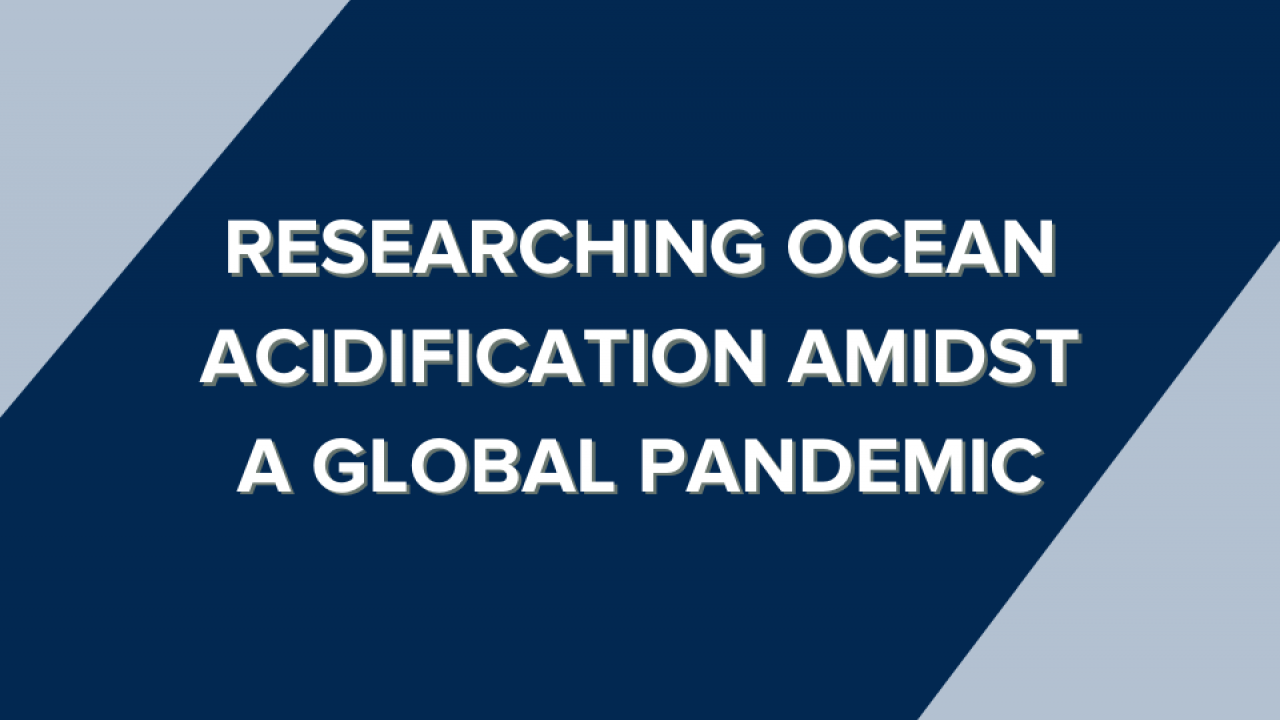 Researching Ocean Acidification amidst a global pandemic
