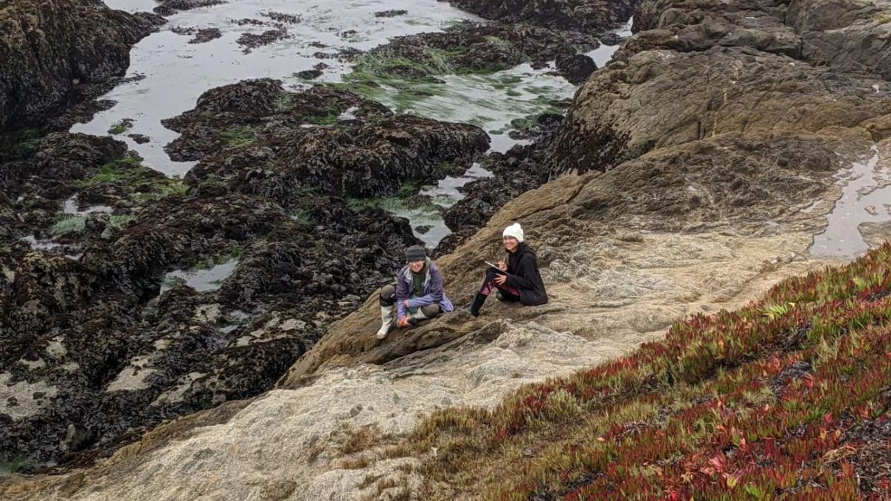 Two people on a rocky shoreline framed by ice plant