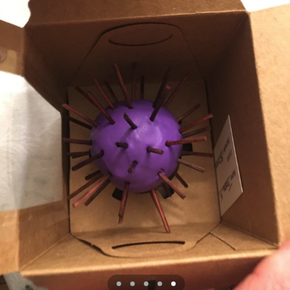 A small purple clay urchin in a cardboard box