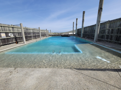 An empty pool surrounded by a tall wooden fence.