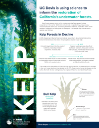 Kelp handout front page