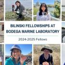 A collage of 10 portraits of the 2024-25 Bilinski fellows