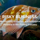 Risky Business: Maintaining Economic and Ecological Balance in the Fishing Industry