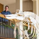 Two people looking over a balcony with a beaked whale skeleton in the foreground.