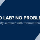 No Lab? No Problem: My summer with foraminifera