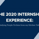 The 2020 internship experience: studying purple urchins from my kitchen table Add to Default shortcu