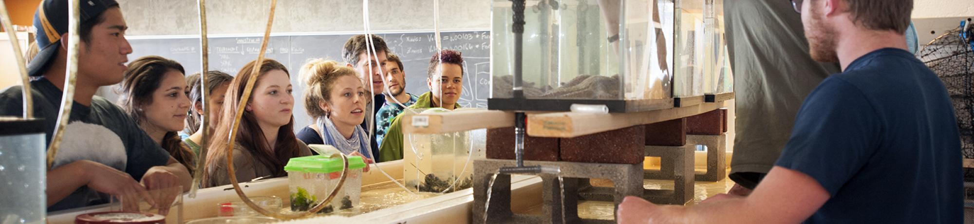 A group of undergraduate students gathered around to watch a professor teaching in front of a glass tank full of seawater.